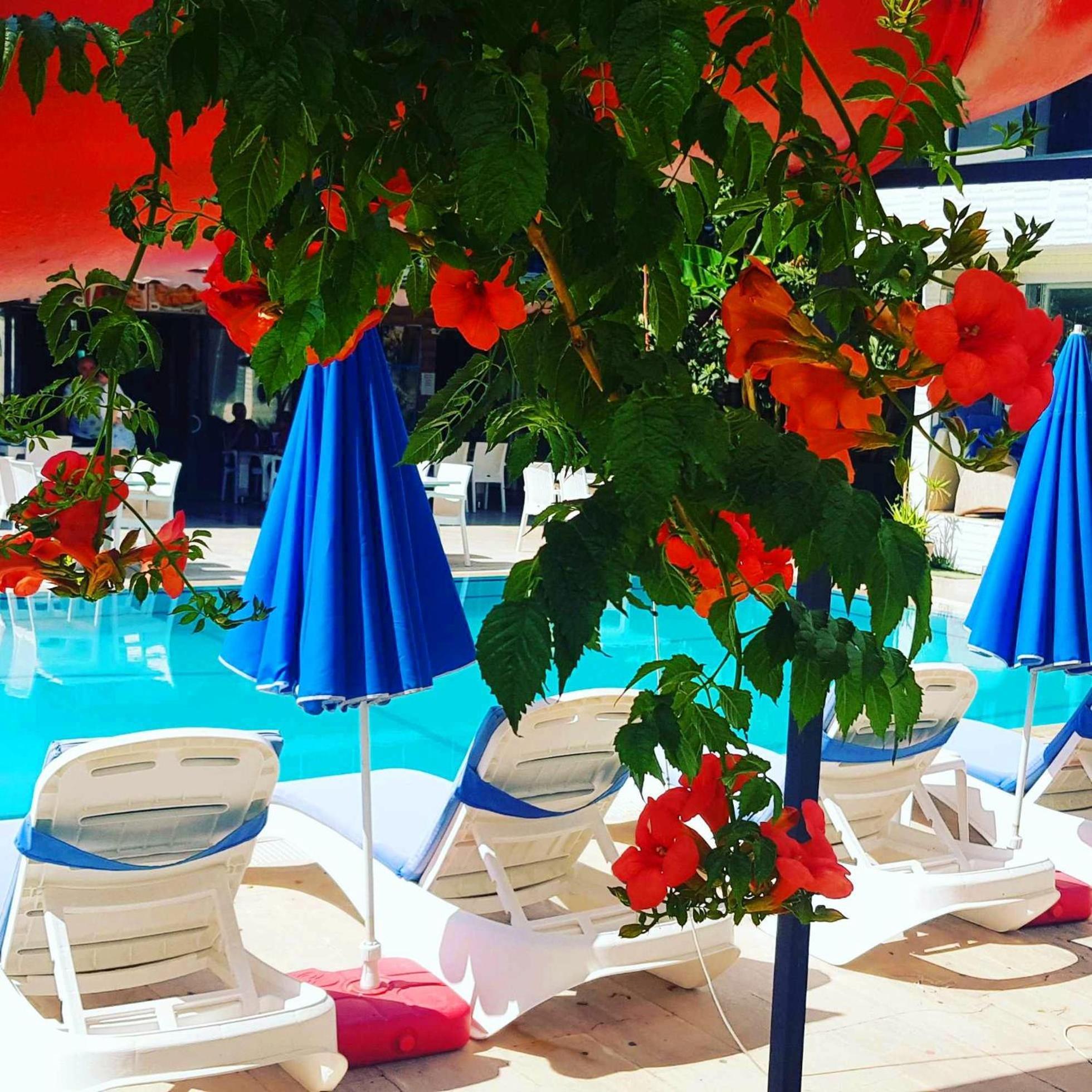Alis Hotel פאטהיה מראה חיצוני תמונה